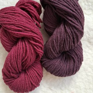 La 6 fils Hampshire