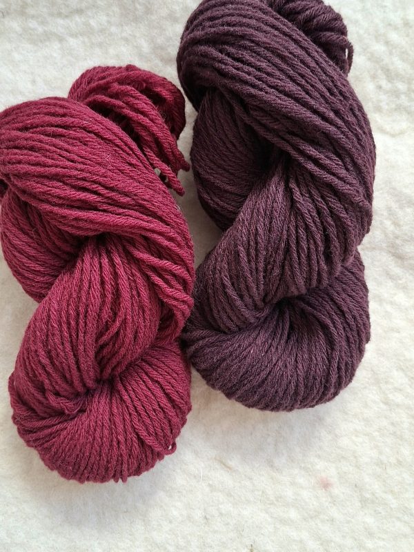 La 6 fils Hampshire