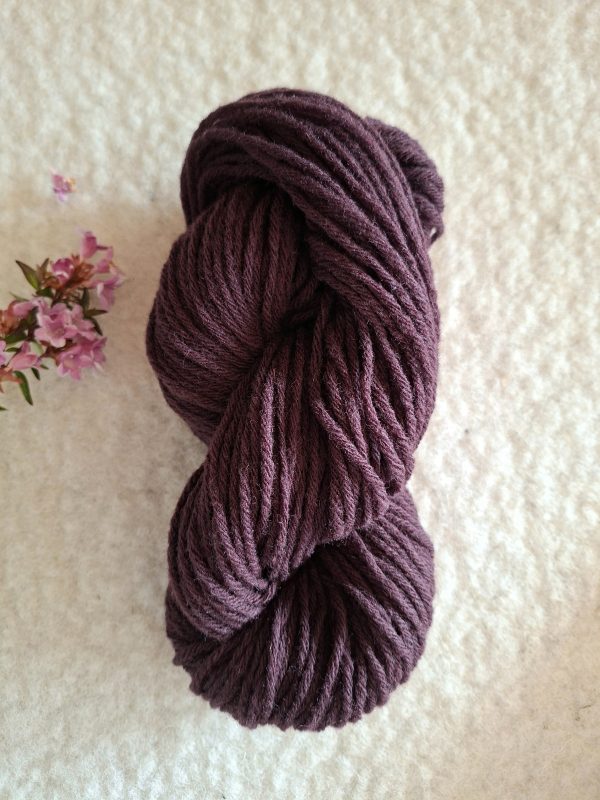 La 6 fils Hampshire – Image 2