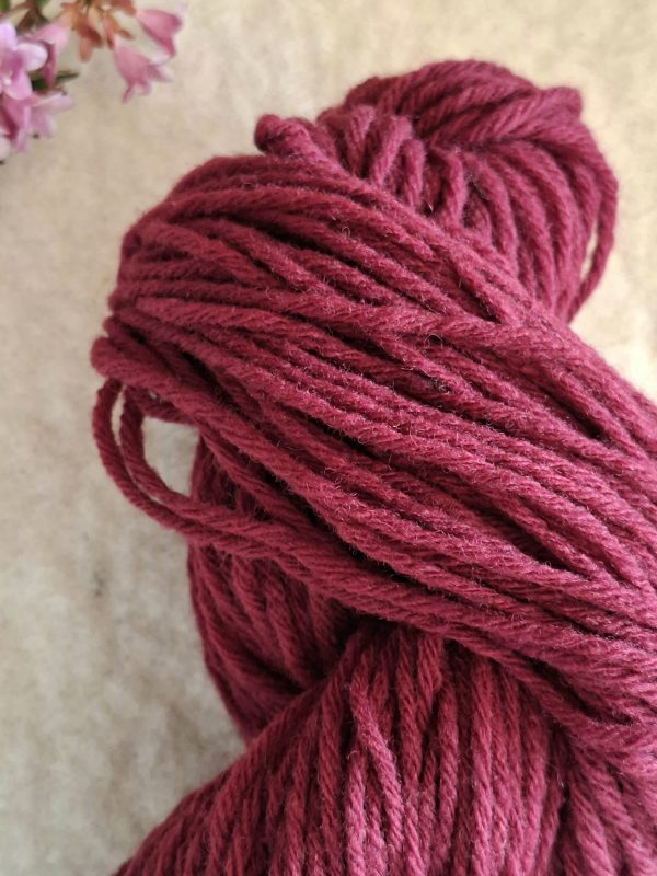 La 6 fils Hampshire – Image 5